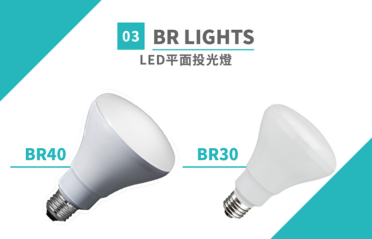 PAR、BR Lights－LED平面投射燈 title=